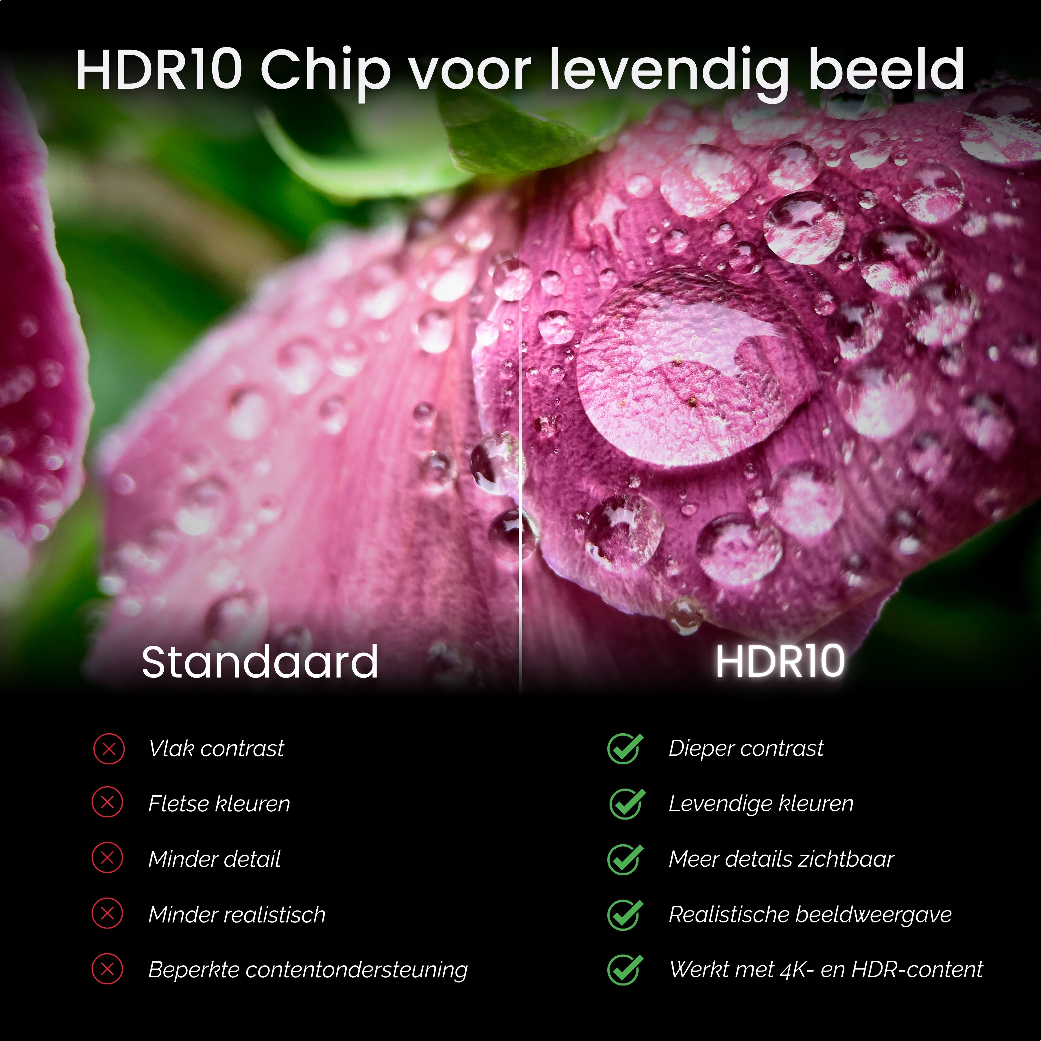 Chesto beamer Full HD Google tv