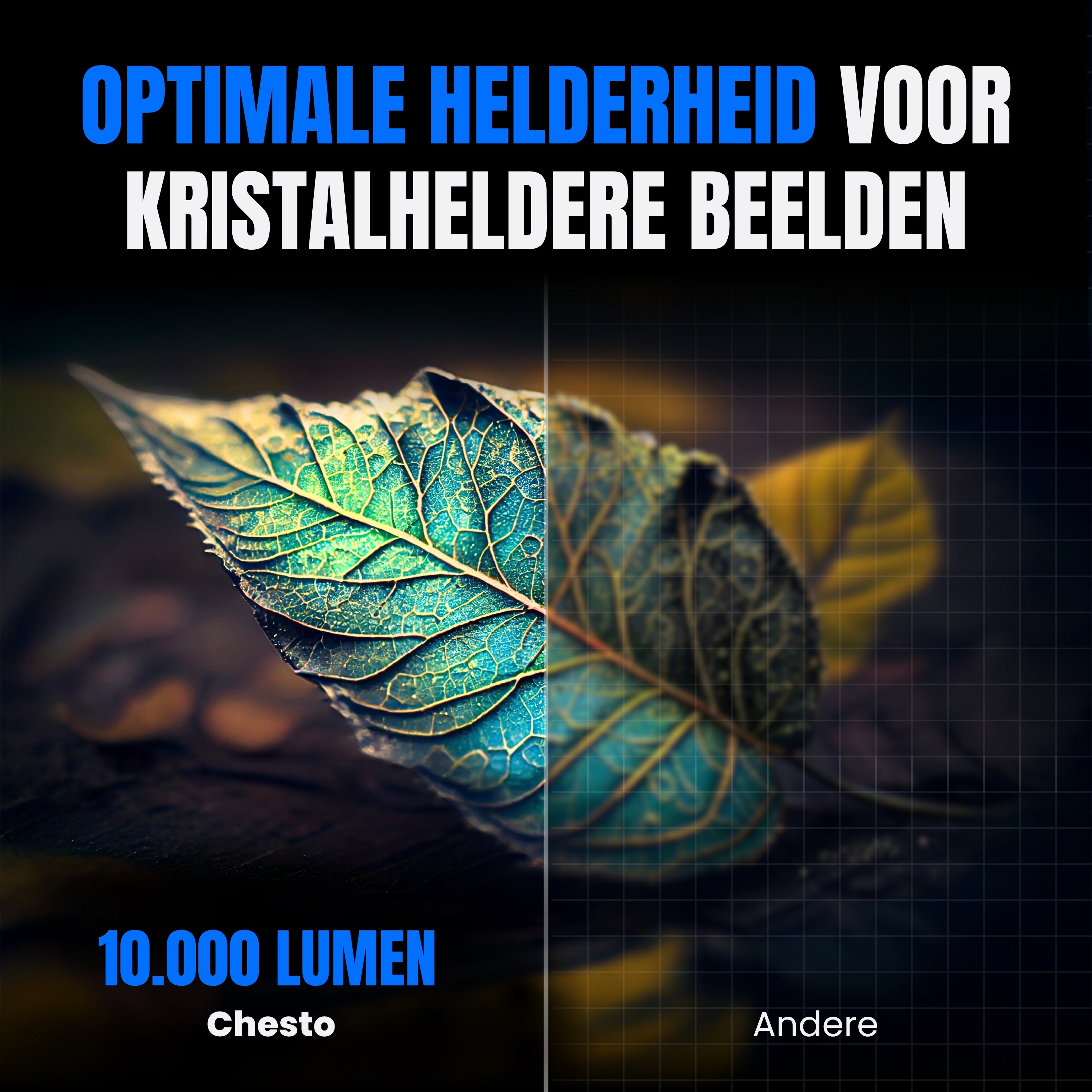 Levendige kleuren met Chesto beamer