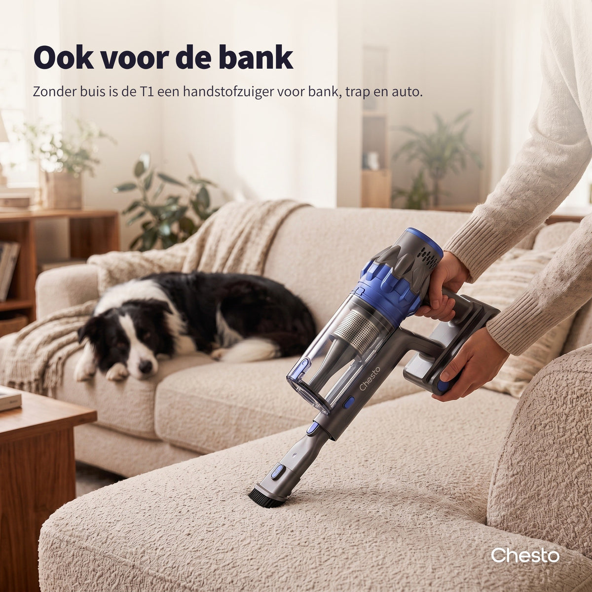 Chesto T1 als handstofzuiger met de 2-in-1-borstel op de bank, naast een hond